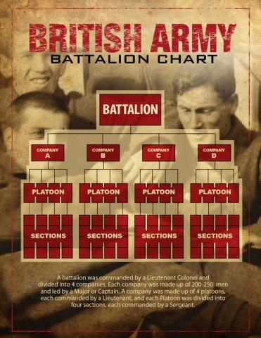 British Army Battalion Chart