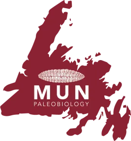 MUN Paleobiology