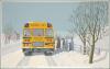 School Bus, Conception Bay